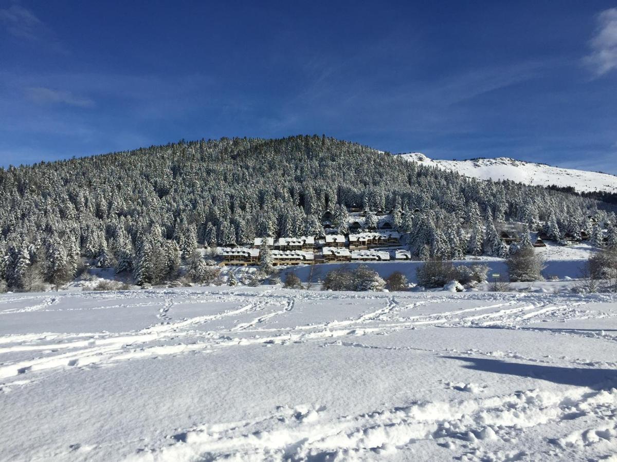 Gite Chaleureux Au Lac De Payolle كامبان المظهر الخارجي الصورة