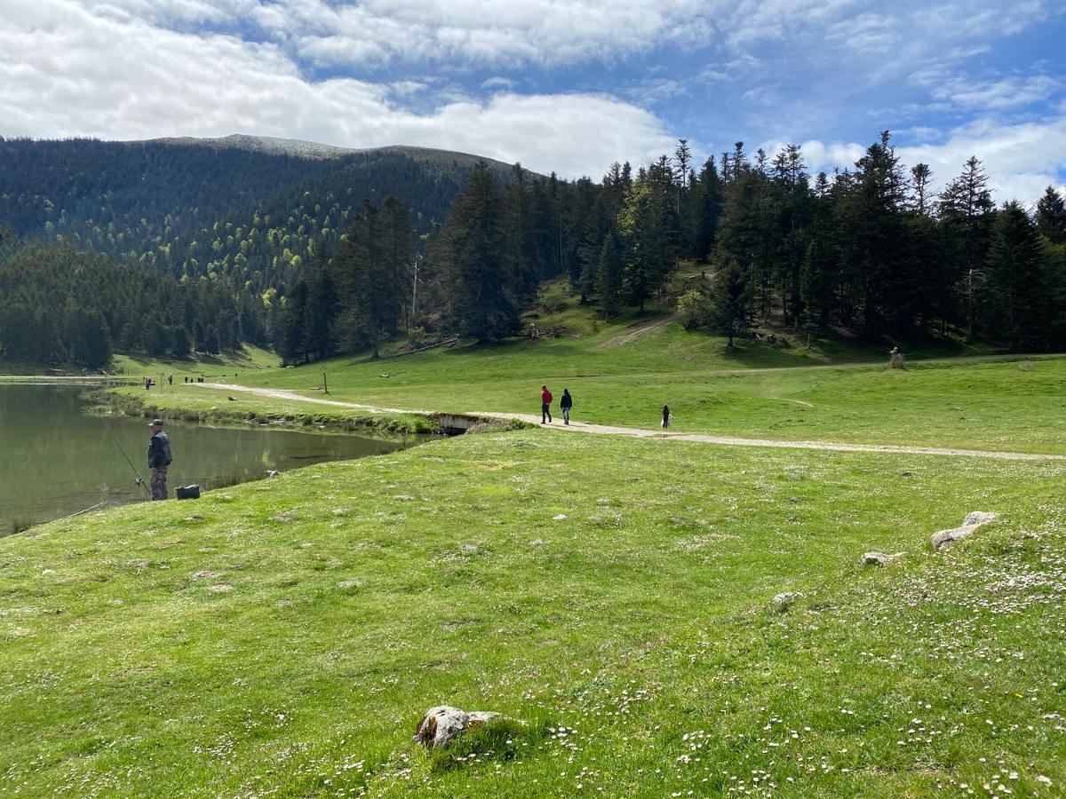 Gite Chaleureux Au Lac De Payolle كامبان المظهر الخارجي الصورة