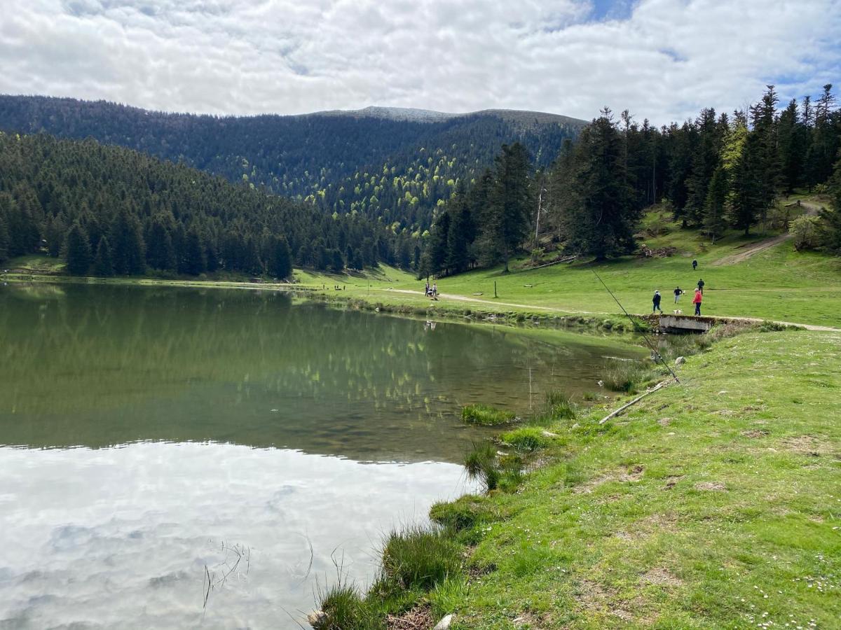 Gite Chaleureux Au Lac De Payolle كامبان المظهر الخارجي الصورة