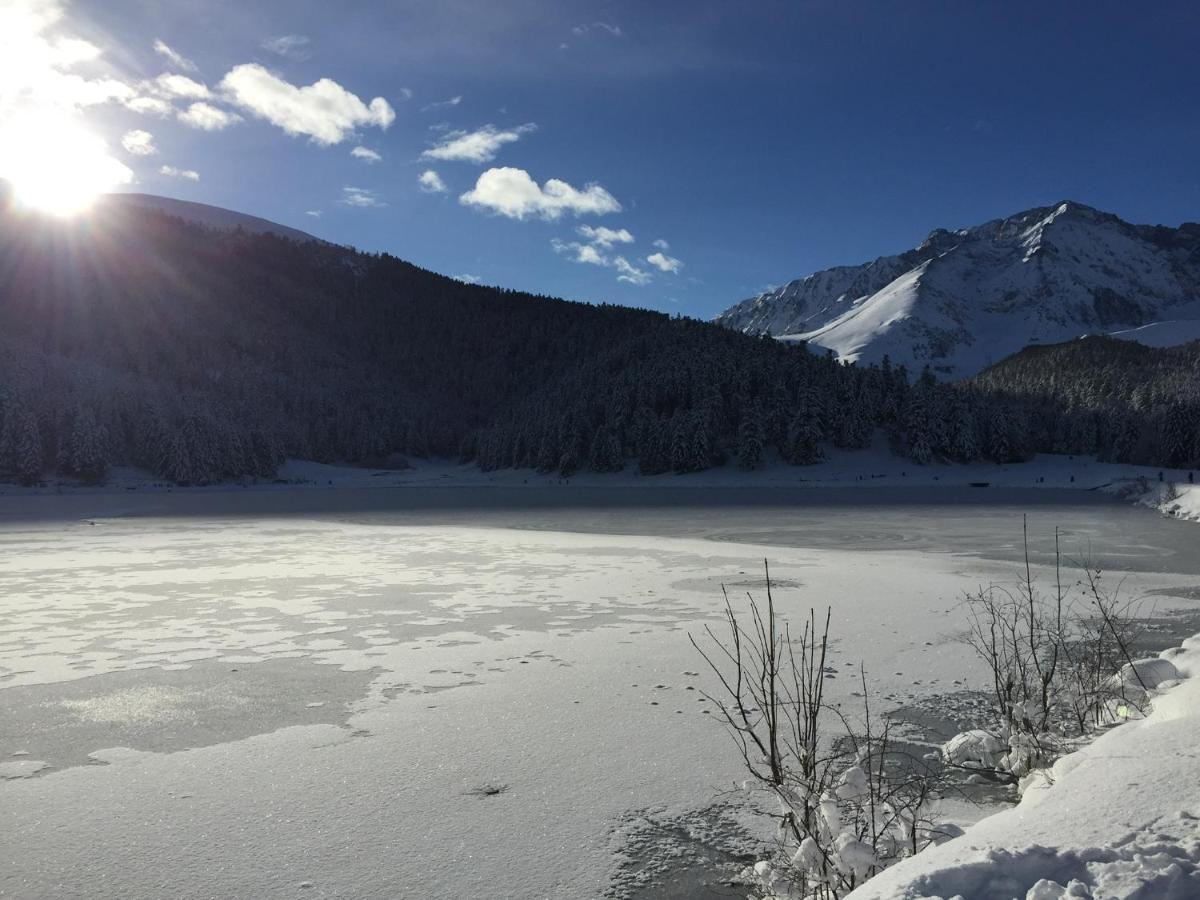 Gite Chaleureux Au Lac De Payolle كامبان المظهر الخارجي الصورة