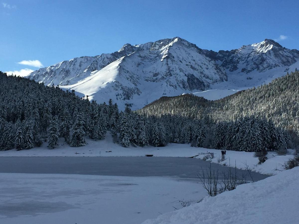 Gite Chaleureux Au Lac De Payolle كامبان المظهر الخارجي الصورة