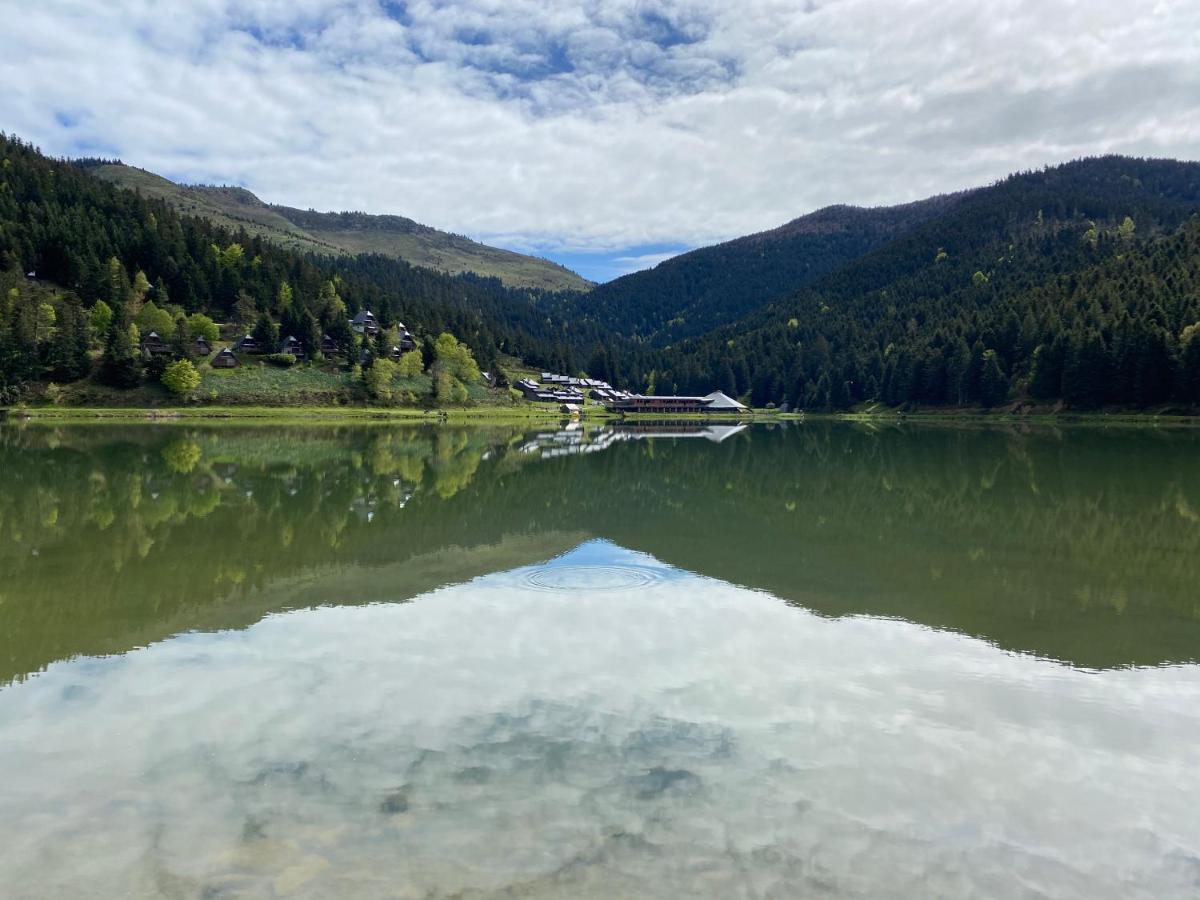 Gite Chaleureux Au Lac De Payolle كامبان المظهر الخارجي الصورة