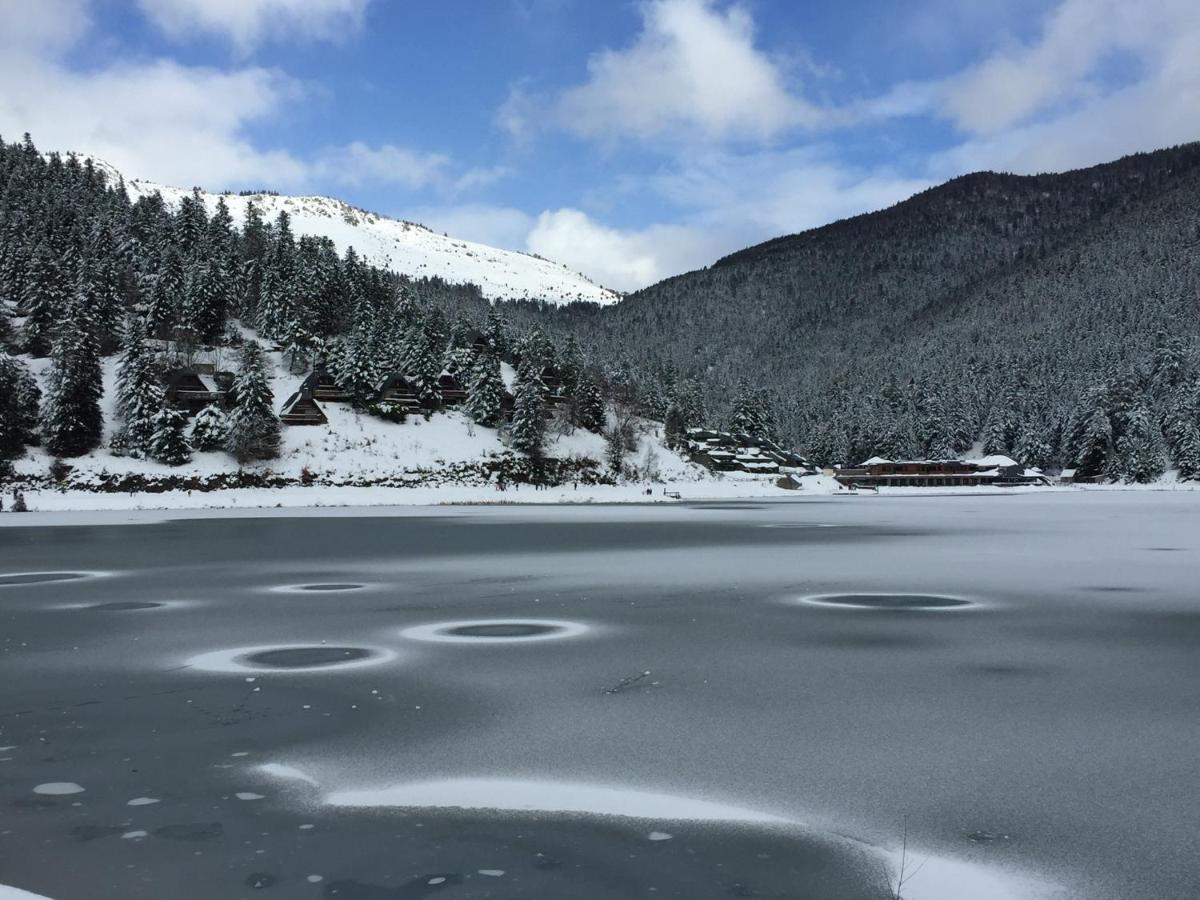 Gite Chaleureux Au Lac De Payolle كامبان المظهر الخارجي الصورة